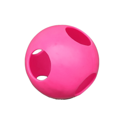 Ferret Ball - 10 inch 5 Hole