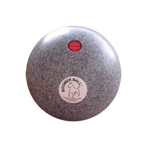 Boomer Ball - 10 Inch Heavy Duty Challenger