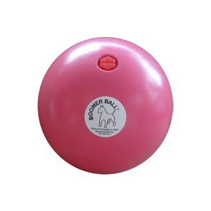 Jungle Ball - 20 Inch